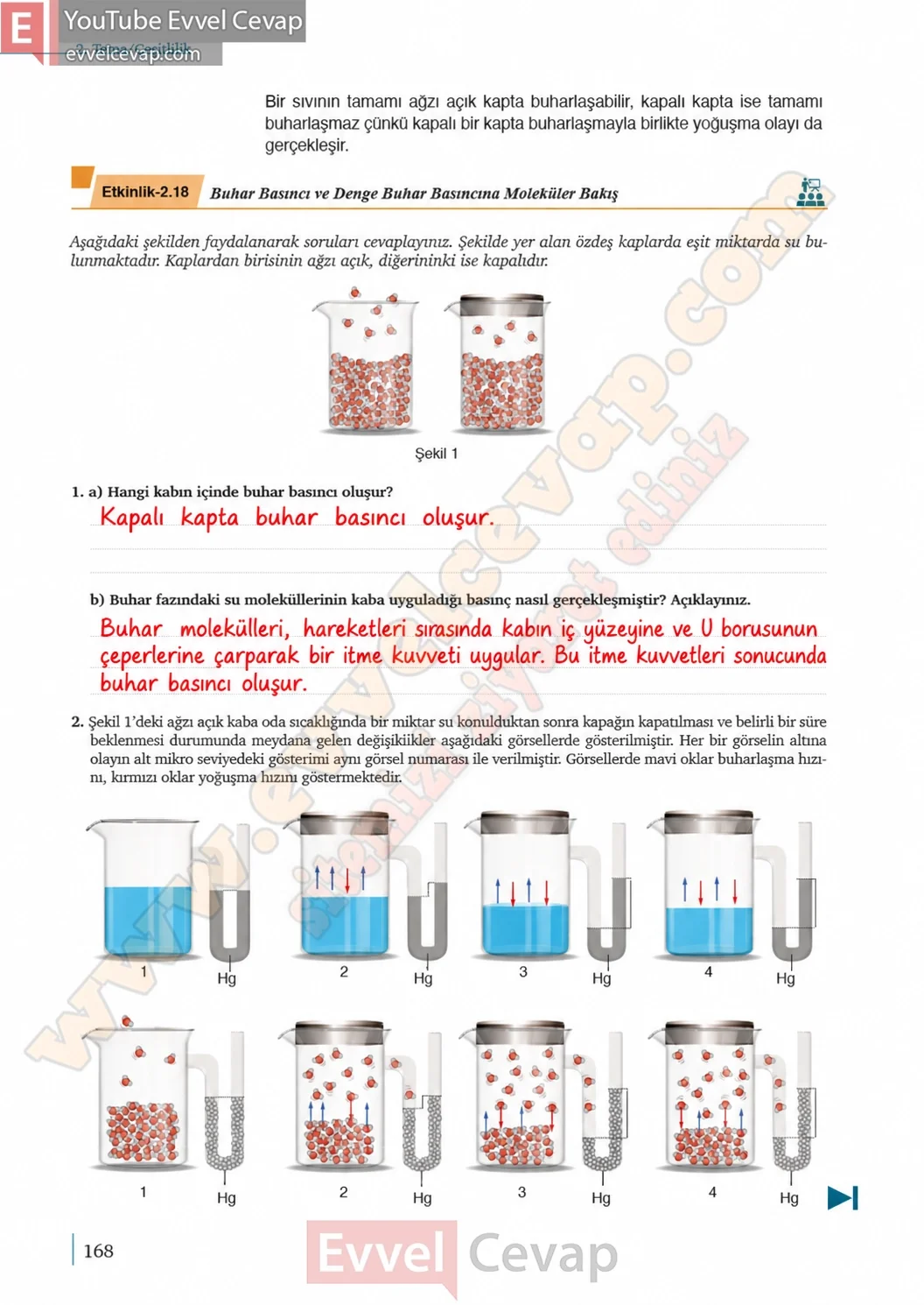 9-sinif-kimya-ders-kitabi-cevaplari-sayfa-168-2026-2027