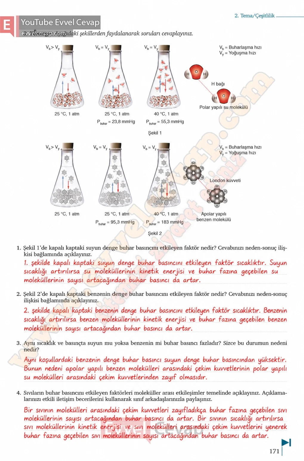 9-sinif-kimya-ders-kitabi-cevaplari-sayfa-171-2026-2027