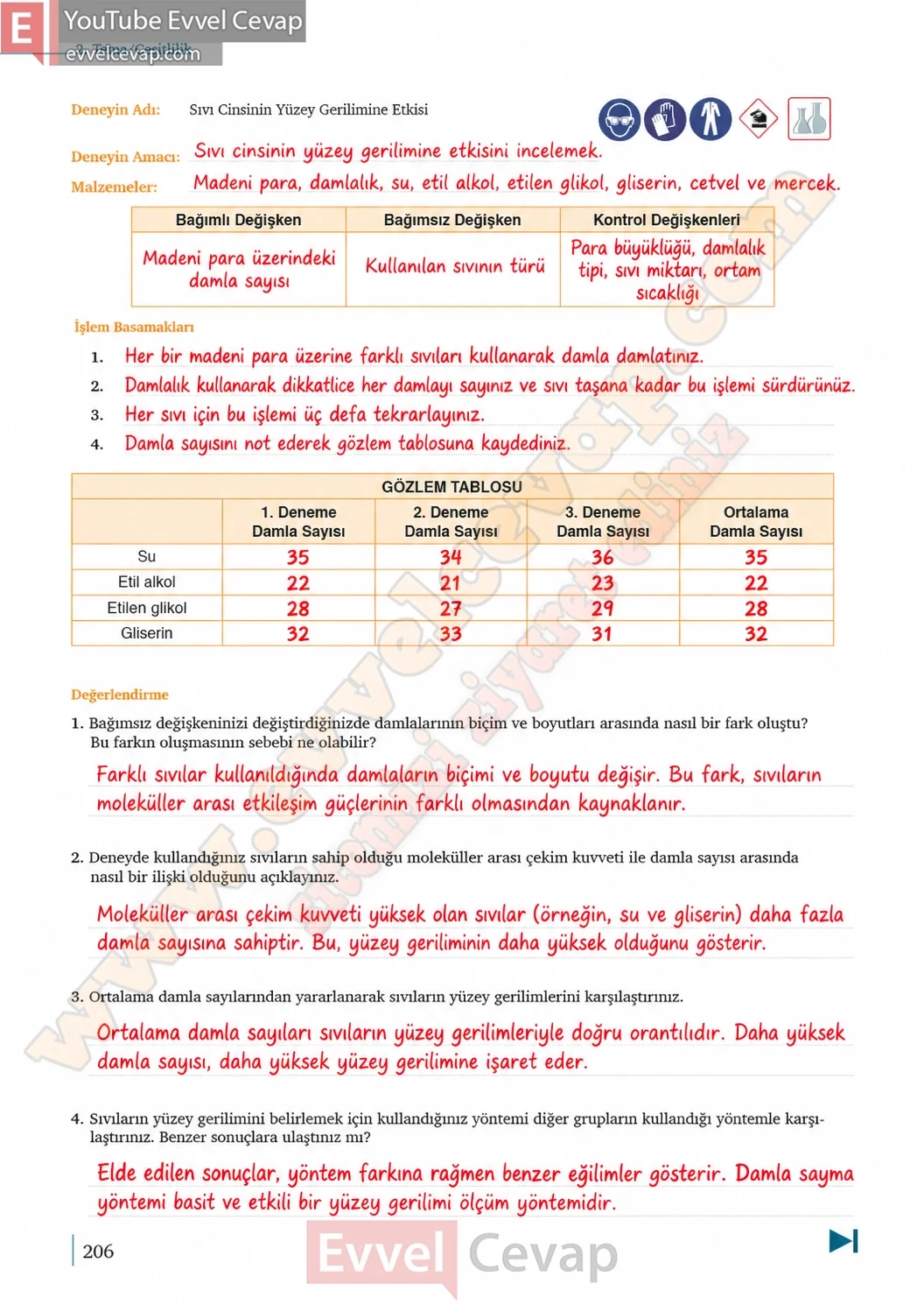9-sinif-kimya-ders-kitabi-cevaplari-sayfa-206-2026-2027