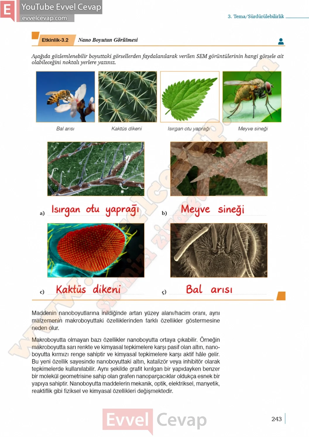 9-sinif-kimya-ders-kitabi-cevaplari-sayfa-243-2026-2027
