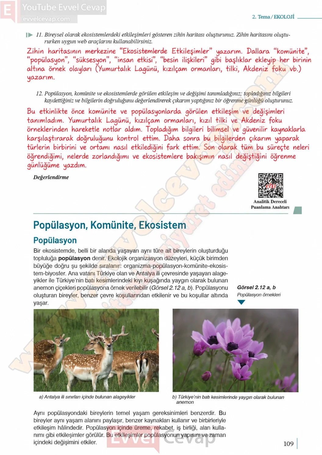10-sinif-biyoloji-ders-kitabi-cevaplari-sayfa-109-cevaplari-meb-yayinlari-2026-2027