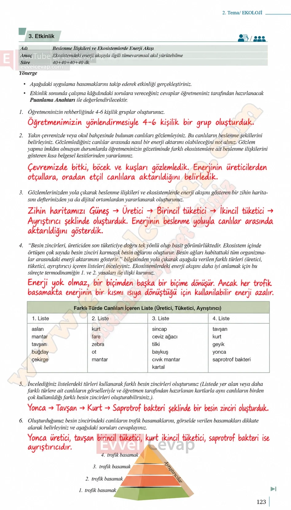 10-sinif-biyoloji-ders-kitabi-cevaplari-sayfa-123-cevaplari-meb-yayinlari-2026-2027