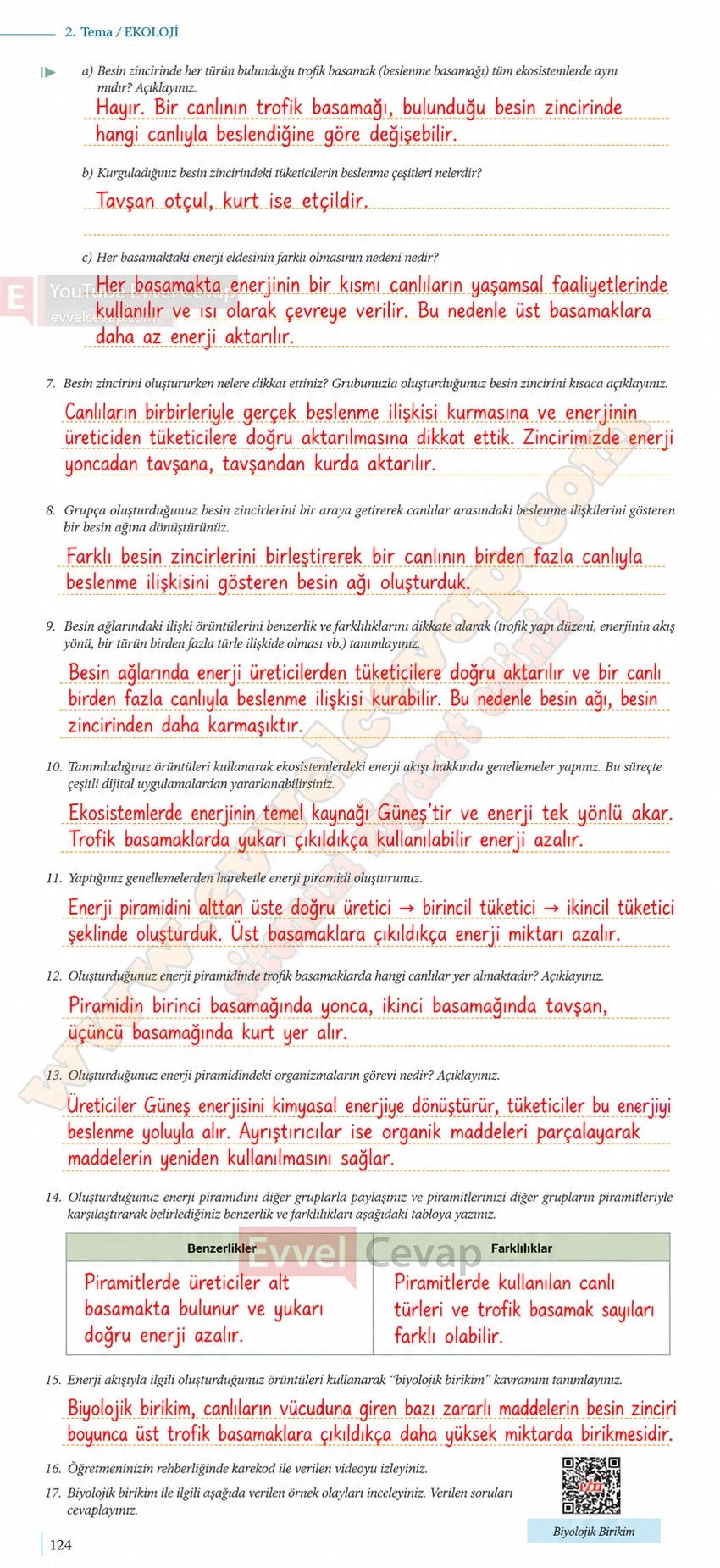 10-sinif-biyoloji-ders-kitabi-cevaplari-sayfa-124-cevaplari-meb-yayinlari-2026-2027