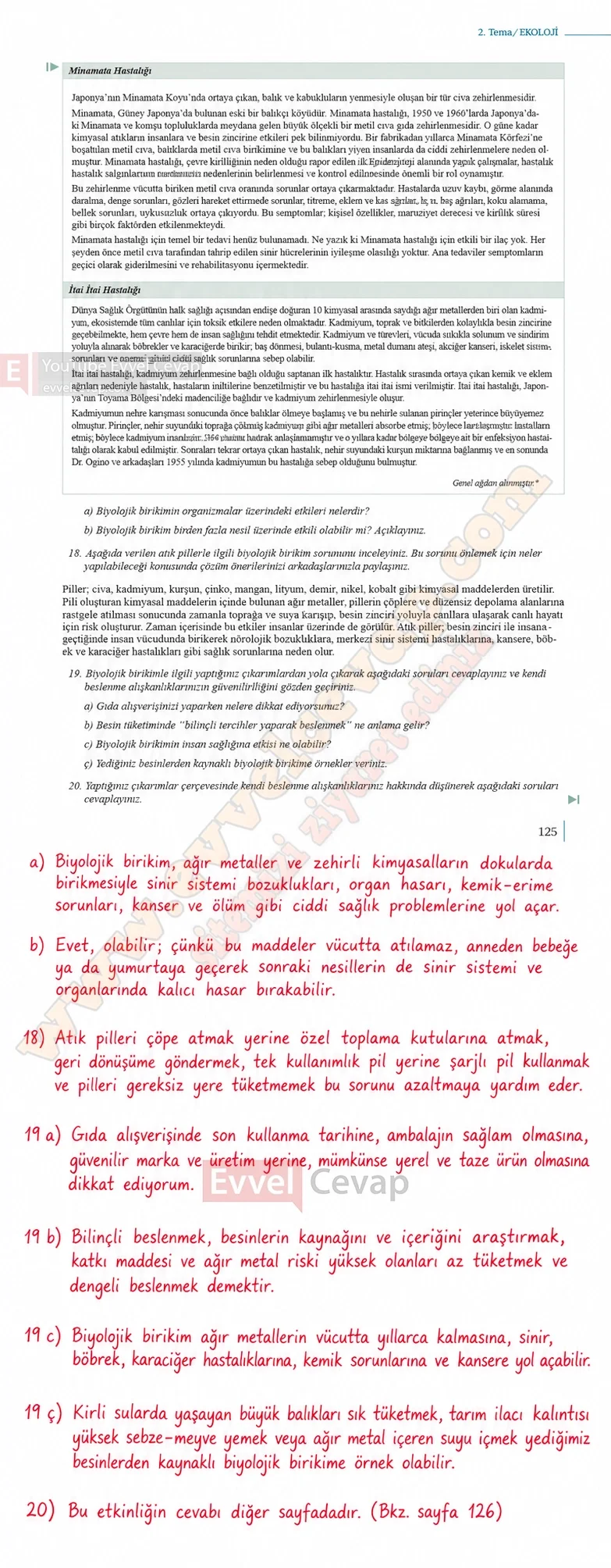 10-sinif-biyoloji-ders-kitabi-cevaplari-sayfa-125-cevaplari-meb-yayinlari-2026-2027