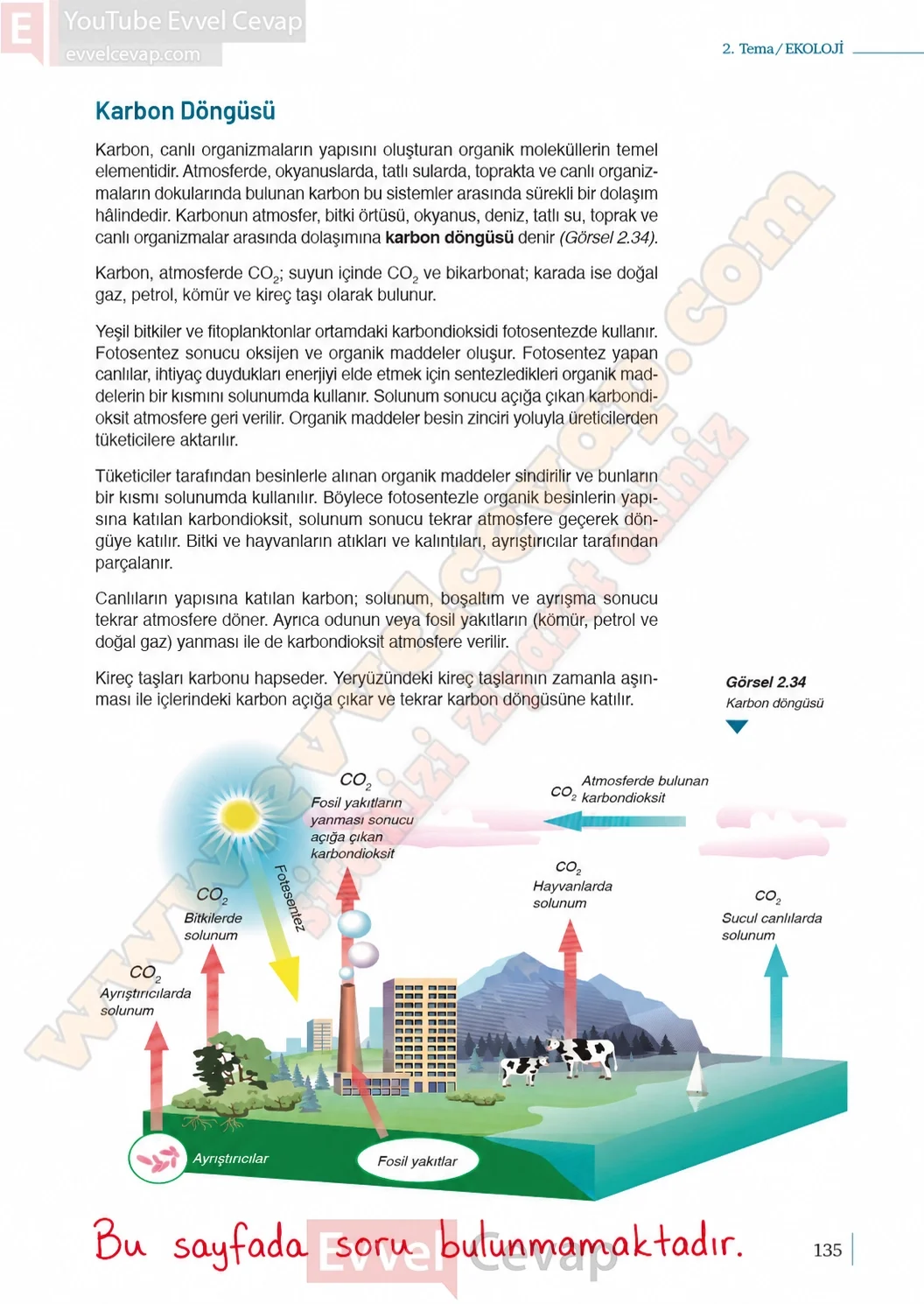 10-sinif-biyoloji-ders-kitabi-cevaplari-sayfa-135-cevaplari-meb-yayinlari-2026-2027
