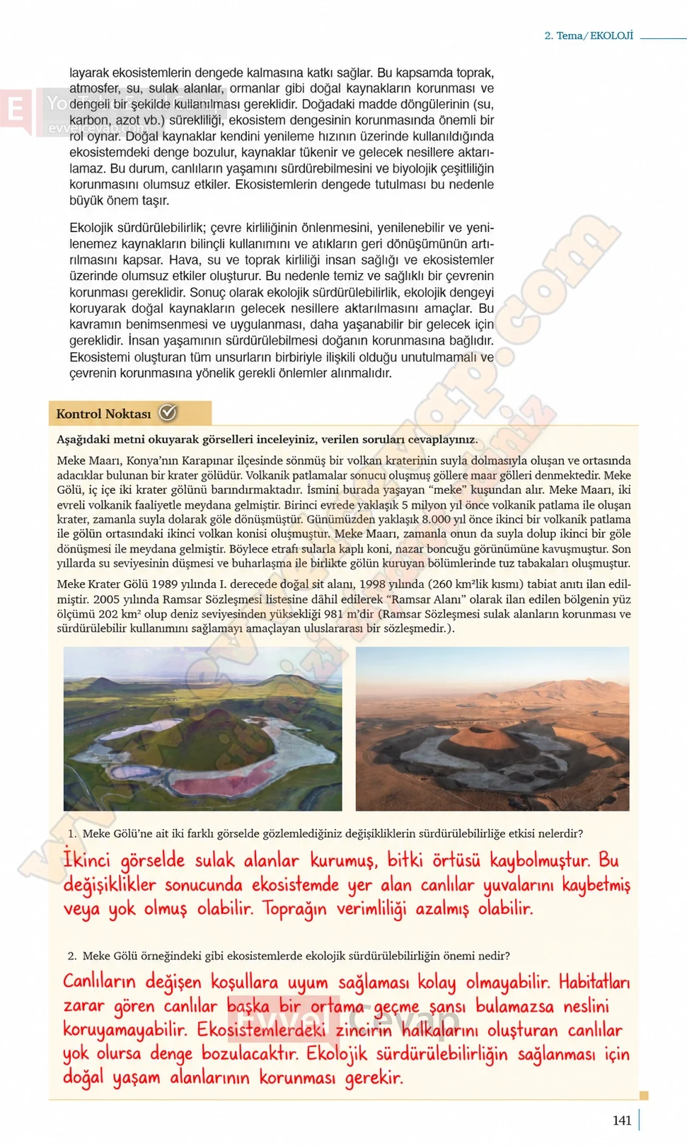 10-sinif-biyoloji-ders-kitabi-cevaplari-sayfa-141-cevaplari-meb-yayinlari-2026-2027