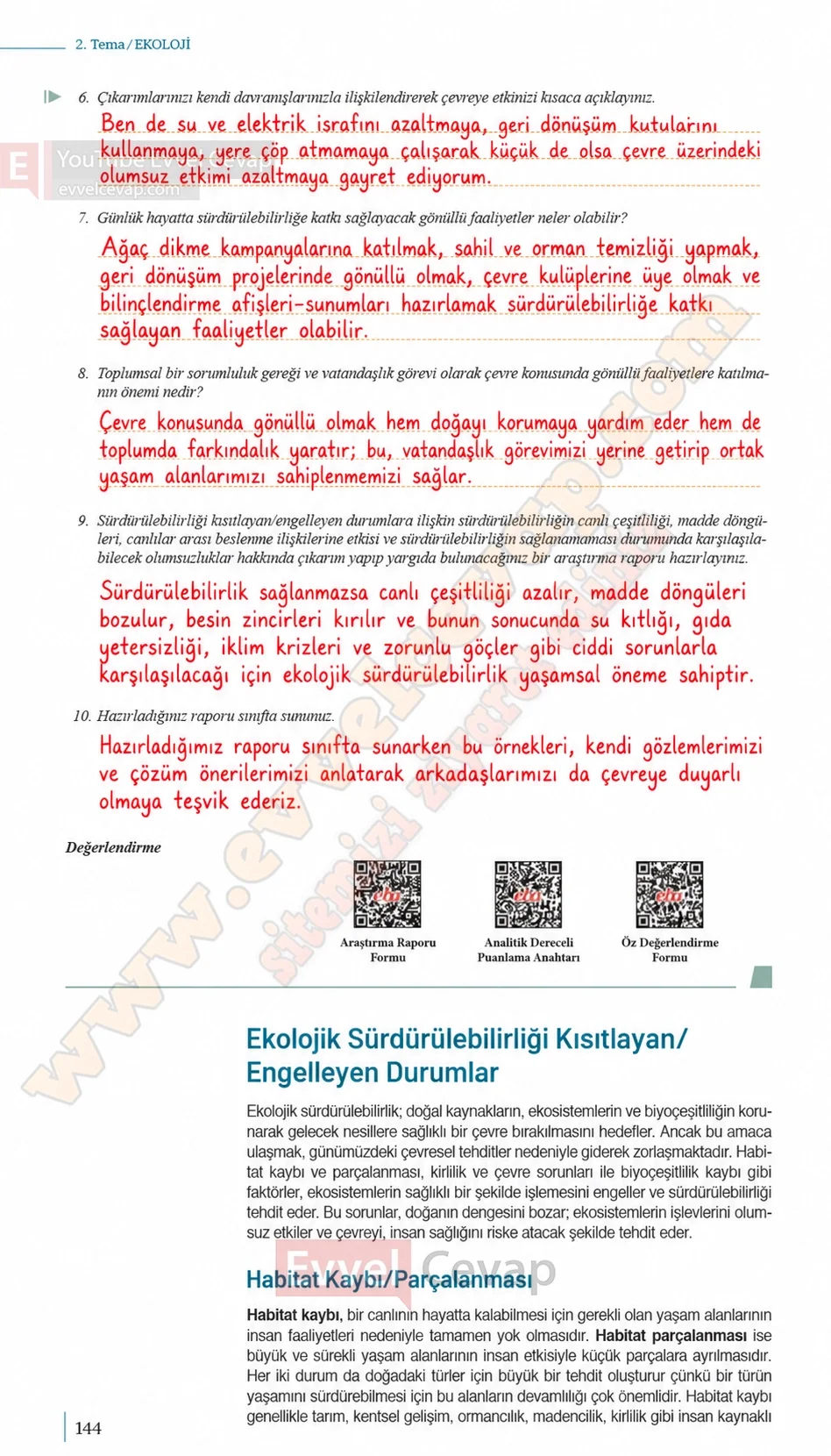 10-sinif-biyoloji-ders-kitabi-cevaplari-sayfa-144-cevaplari-meb-yayinlari-2026-2027