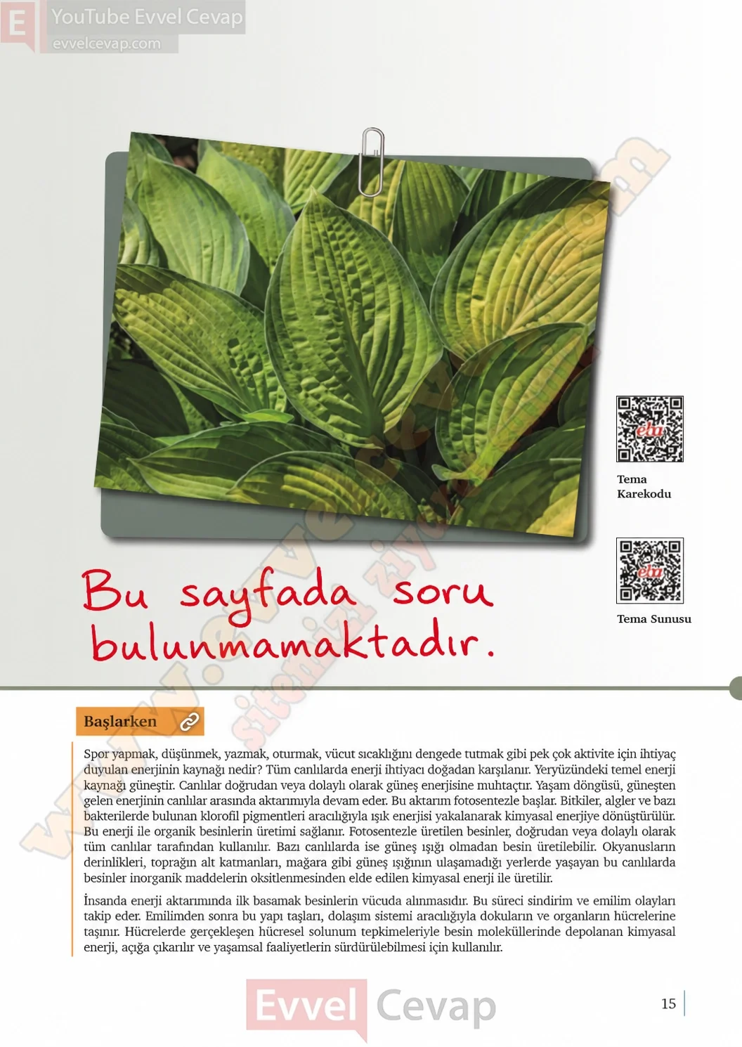 10-sinif-biyoloji-ders-kitabi-cevaplari-sayfa-15-cevaplari-meb-yayinlari-2026-2027