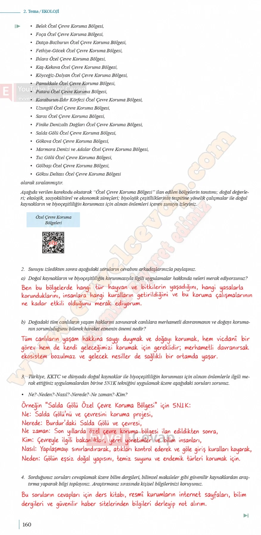 10-sinif-biyoloji-ders-kitabi-cevaplari-sayfa-160-cevaplari-meb-yayinlari-2026-2027