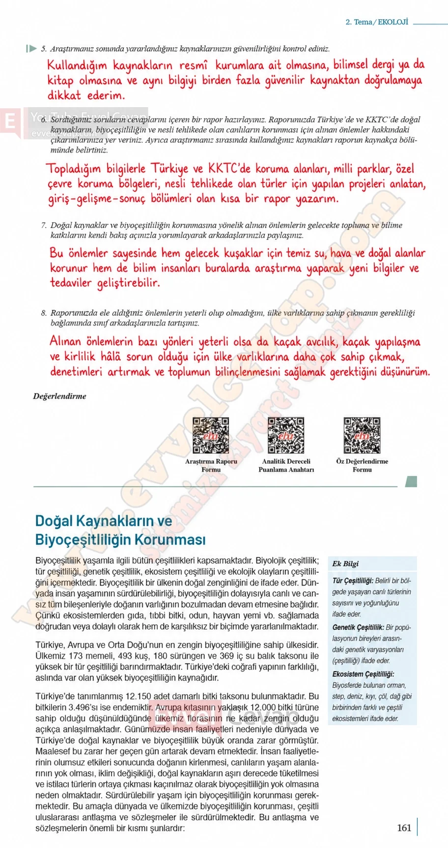 10-sinif-biyoloji-ders-kitabi-cevaplari-sayfa-161-cevaplari-meb-yayinlari-2026-2027