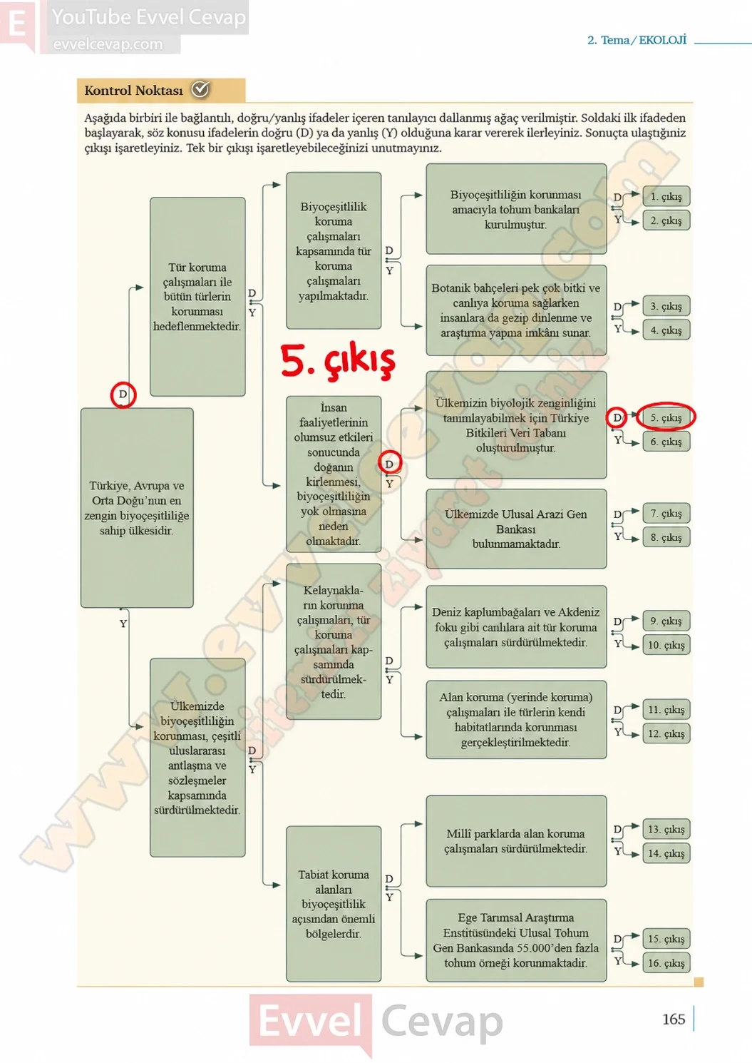 10-sinif-biyoloji-ders-kitabi-cevaplari-sayfa-165-cevaplari-meb-yayinlari-2026-2027