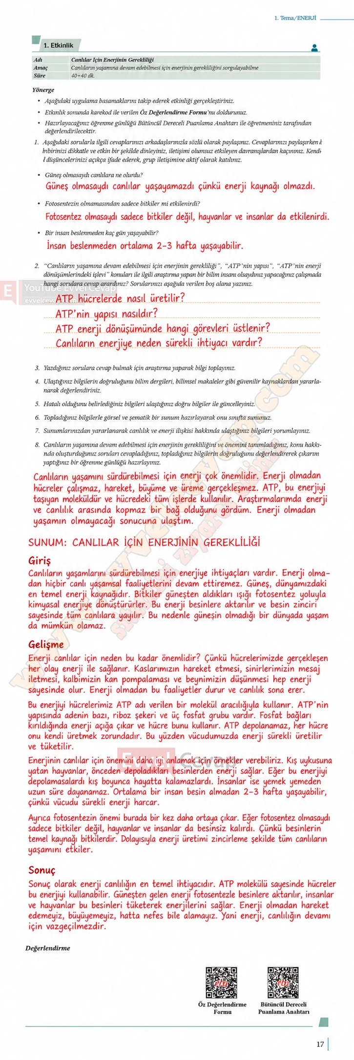 10-sinif-biyoloji-ders-kitabi-cevaplari-sayfa-17-cevaplari-meb-yayinlari-2026-2027