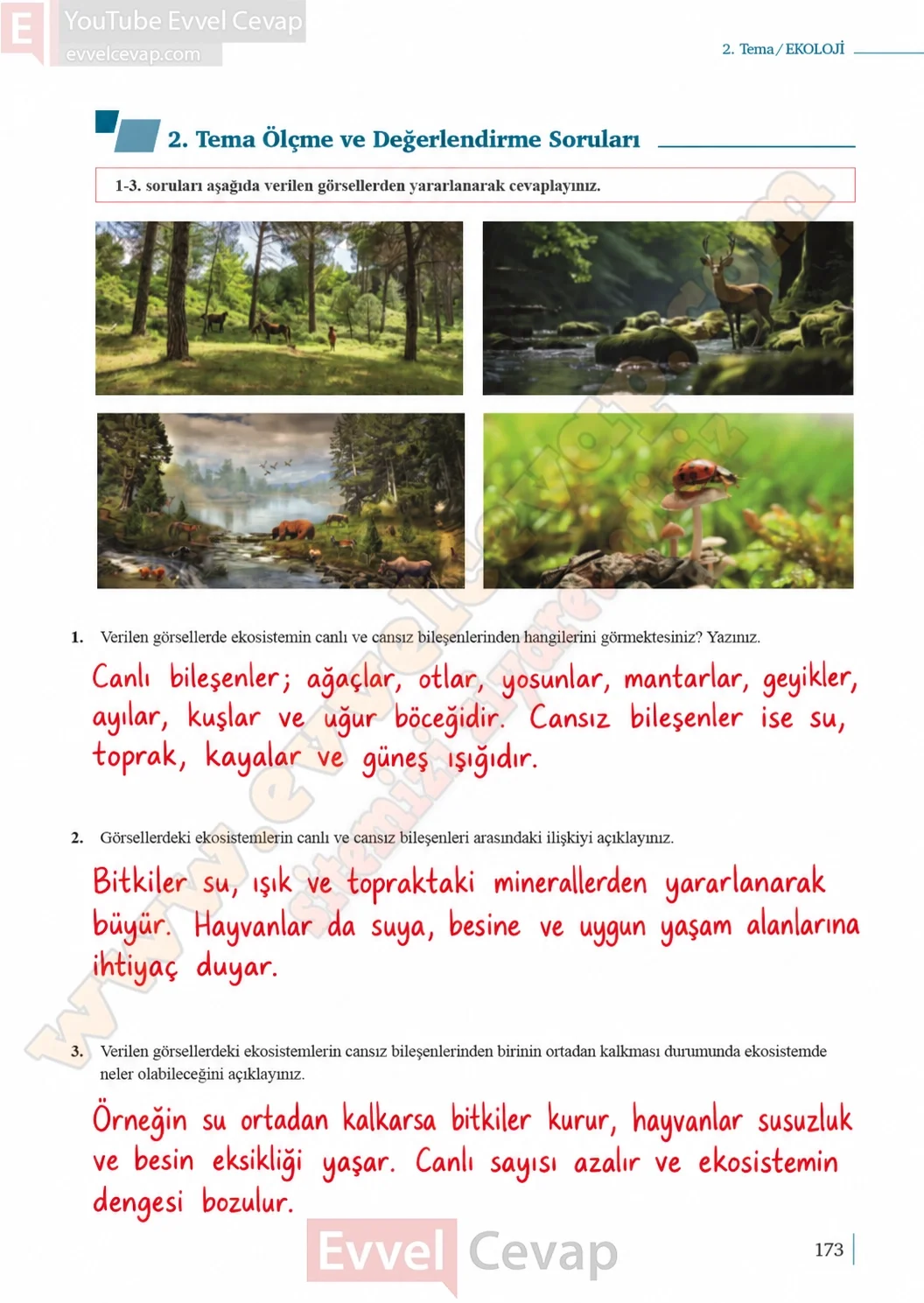 10-sinif-biyoloji-ders-kitabi-cevaplari-sayfa-173-cevaplari-meb-yayinlari-2026-2027