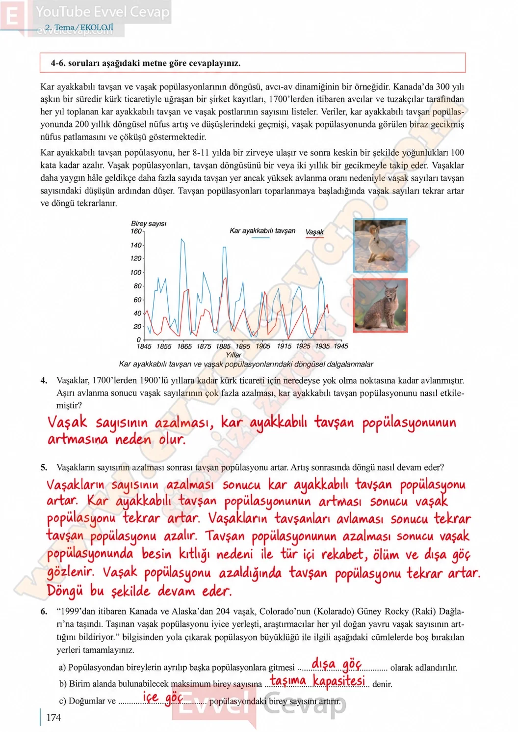 10-sinif-biyoloji-ders-kitabi-cevaplari-sayfa-174-cevaplari-meb-yayinlari-2026-2027