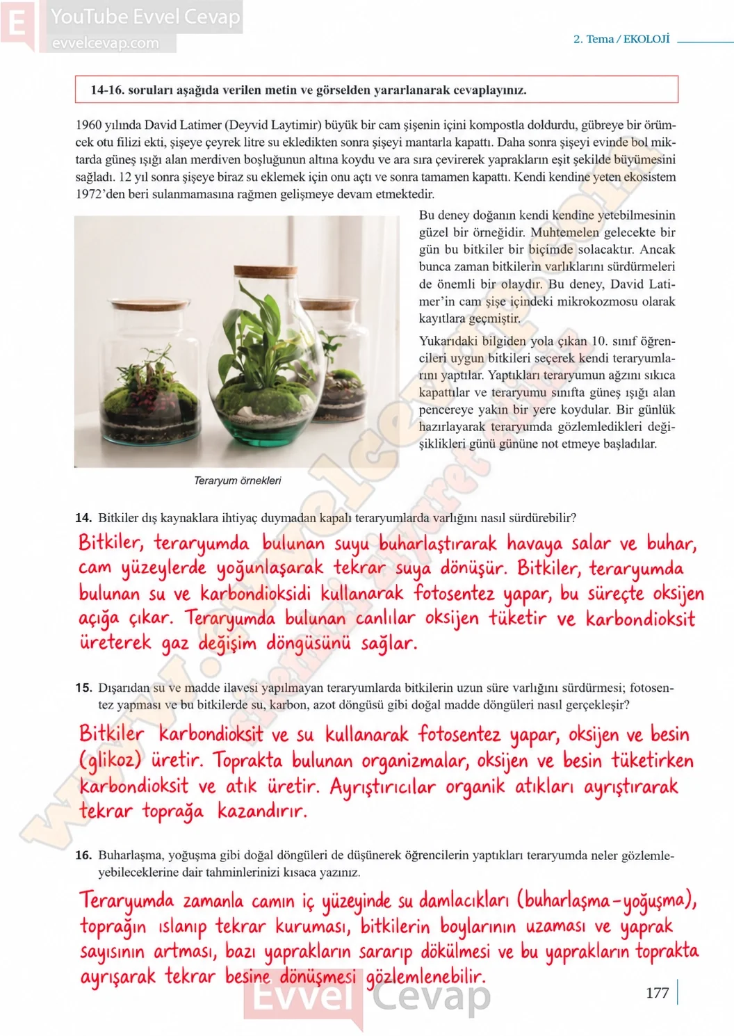 10-sinif-biyoloji-ders-kitabi-cevaplari-sayfa-177-cevaplari-meb-yayinlari-2026-2027