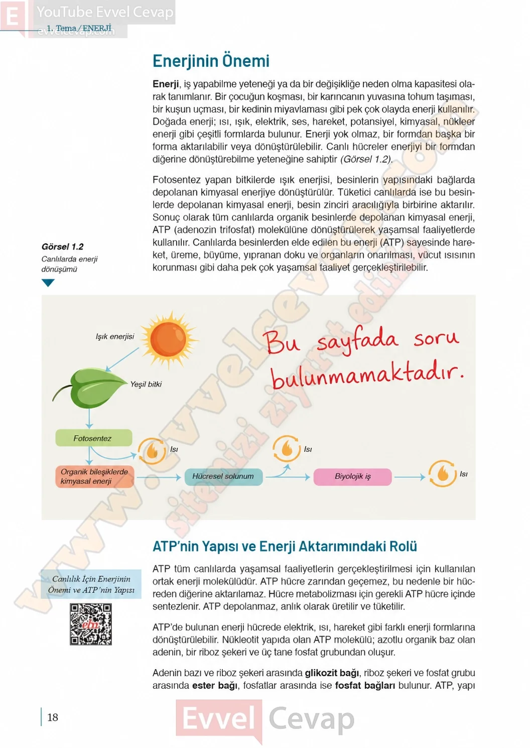10-sinif-biyoloji-ders-kitabi-cevaplari-sayfa-18-cevaplari-meb-yayinlari-2026-2027