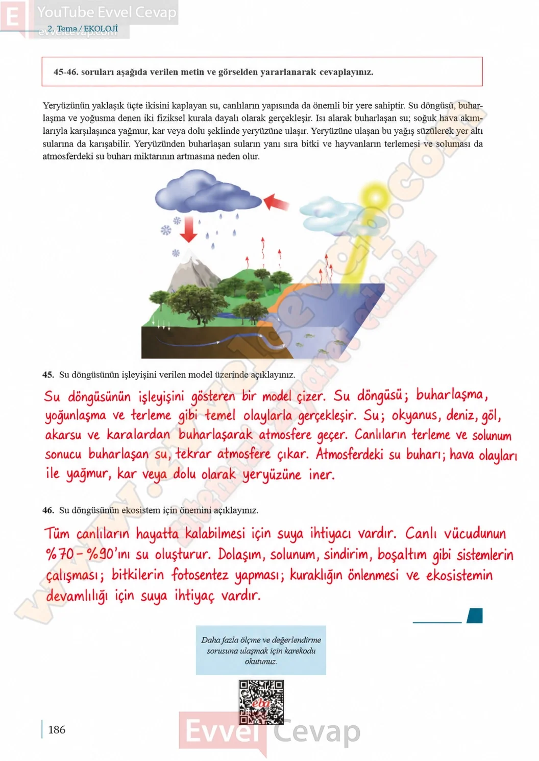 10-sinif-biyoloji-ders-kitabi-cevaplari-sayfa-186-cevaplari-meb-yayinlari-2026-2027