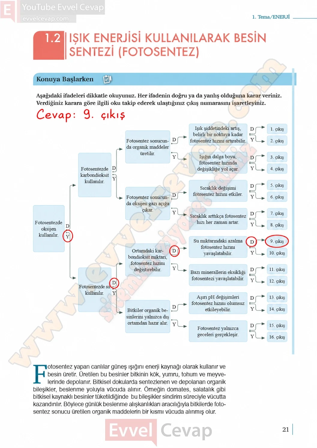 10-sinif-biyoloji-ders-kitabi-cevaplari-sayfa-21-cevaplari-meb-yayinlari-2026-2027