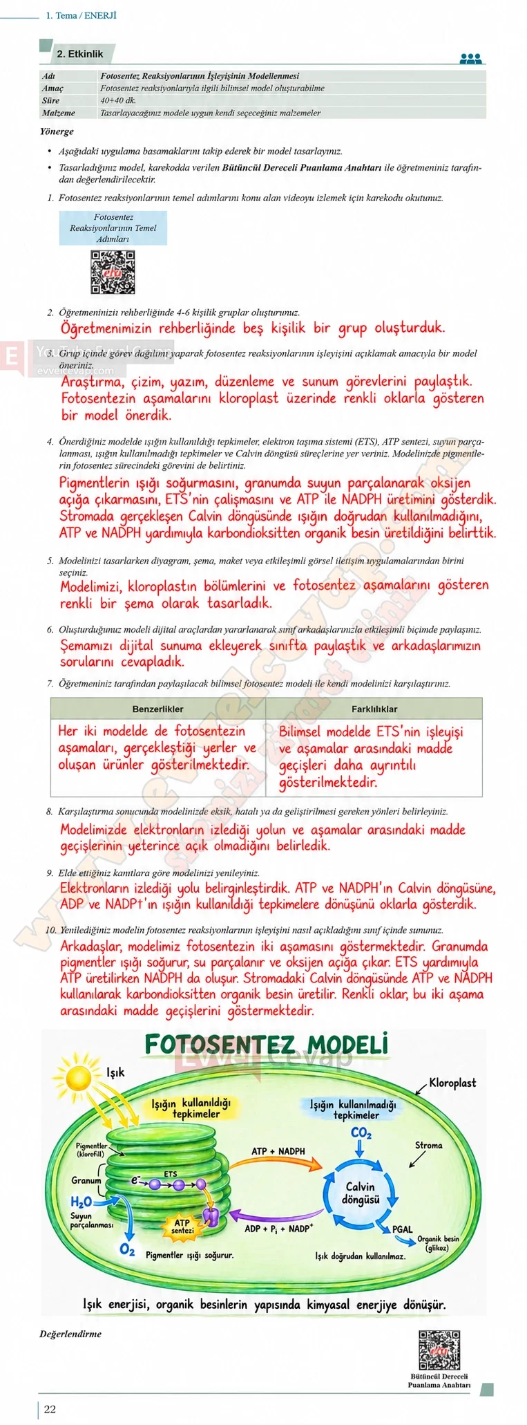 10-sinif-biyoloji-ders-kitabi-cevaplari-sayfa-22-cevaplari-meb-yayinlari-2026-2027