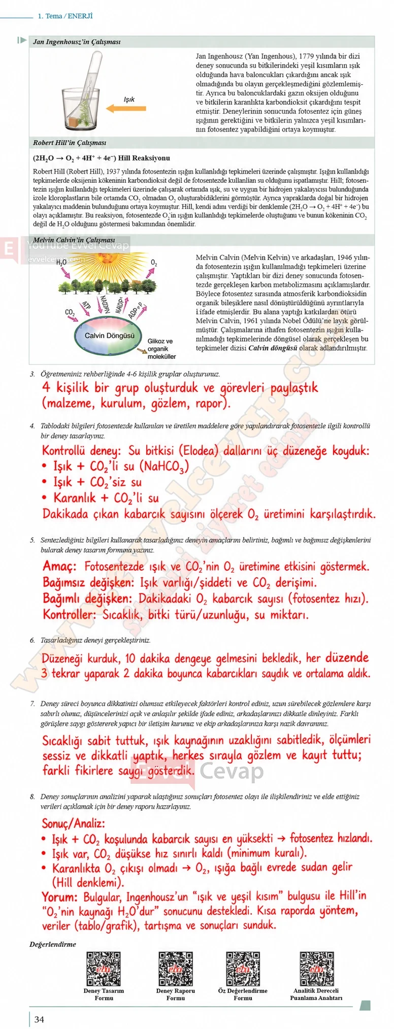 10-sinif-biyoloji-ders-kitabi-cevaplari-sayfa-34-cevaplari-meb-yayinlari-2026-2027