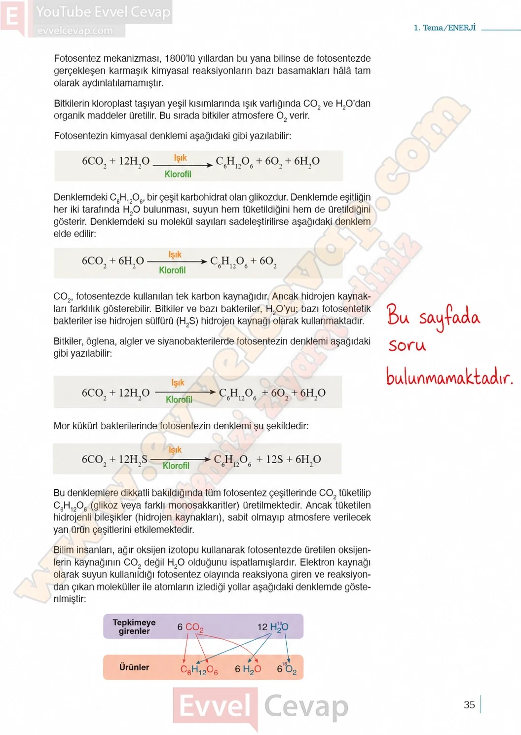 10-sinif-biyoloji-ders-kitabi-cevaplari-sayfa-35-cevaplari-meb-yayinlari-2026-2027