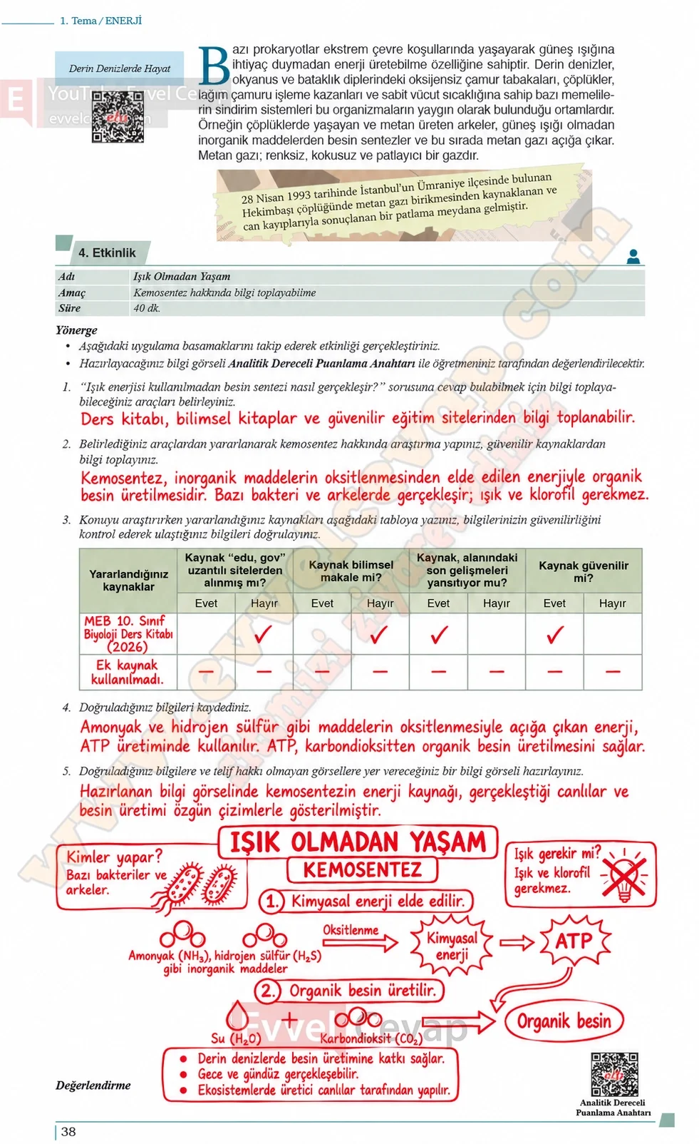 10-sinif-biyoloji-ders-kitabi-cevaplari-sayfa-38-cevaplari-meb-yayinlari-2026-2027