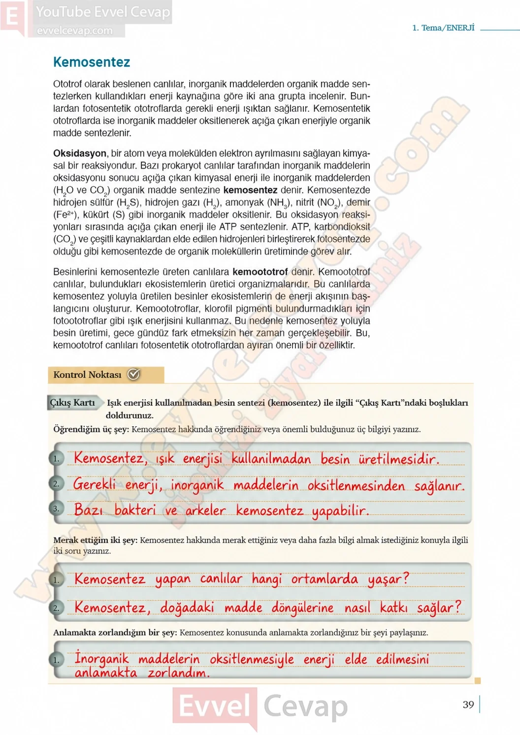 10-sinif-biyoloji-ders-kitabi-cevaplari-sayfa-39-cevaplari-meb-yayinlari-2026-2027