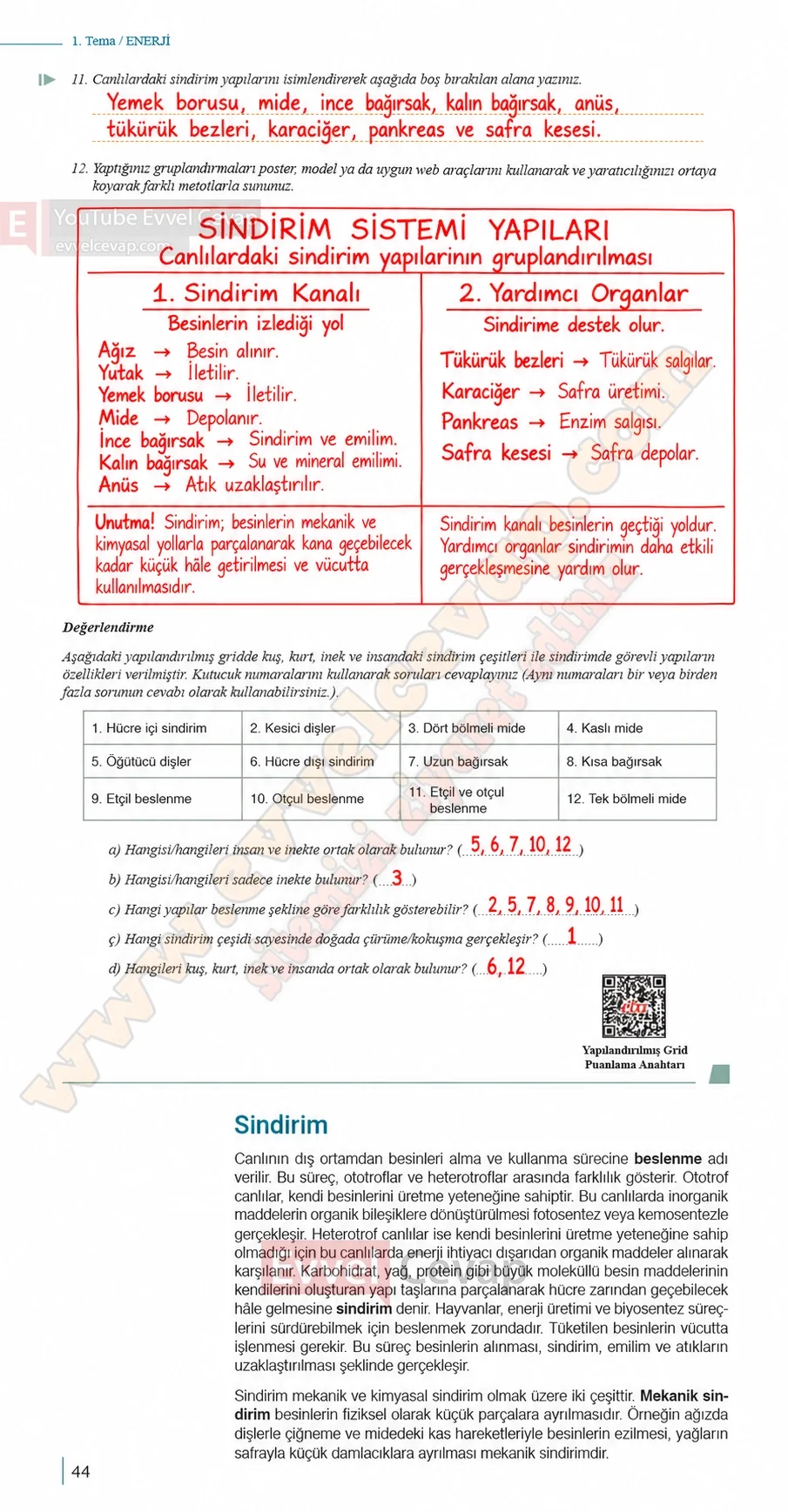 10-sinif-biyoloji-ders-kitabi-cevaplari-sayfa-44-cevaplari-meb-yayinlari-2026-2027