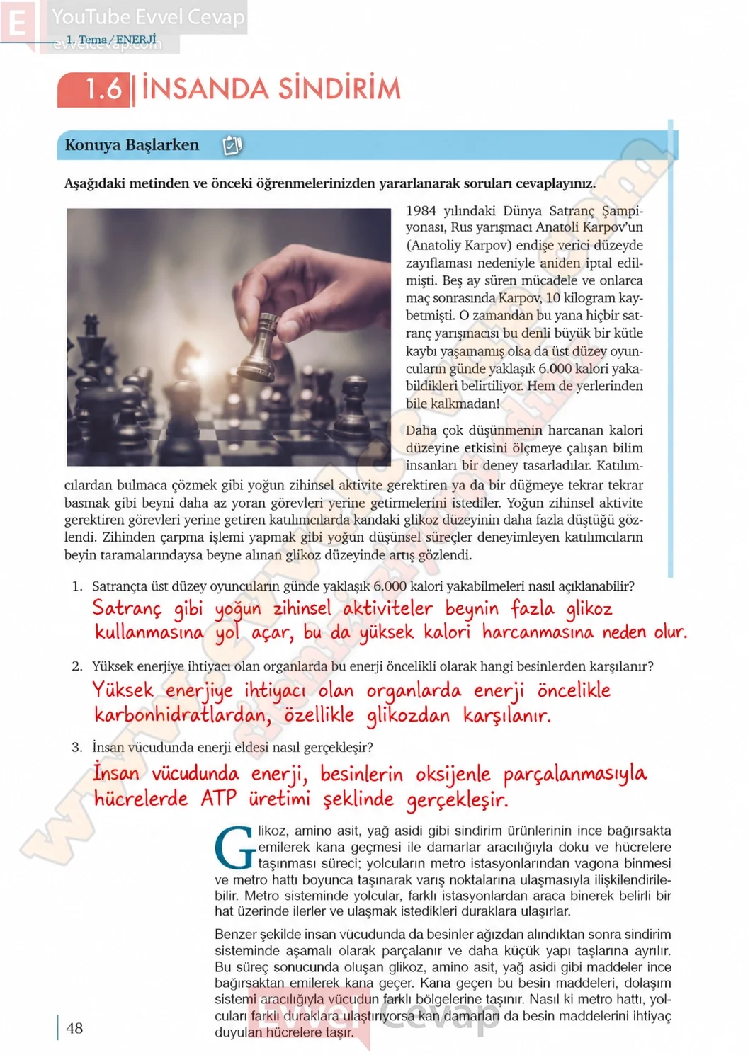 10-sinif-biyoloji-ders-kitabi-cevaplari-sayfa-48-cevaplari-meb-yayinlari-2026-2027