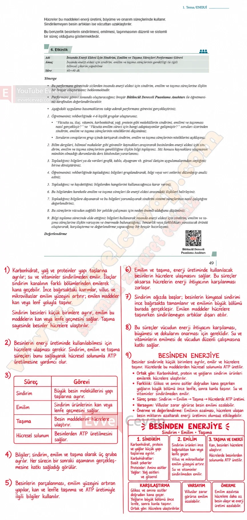 10-sinif-biyoloji-ders-kitabi-cevaplari-sayfa-49-cevaplari-meb-yayinlari-2026-2027