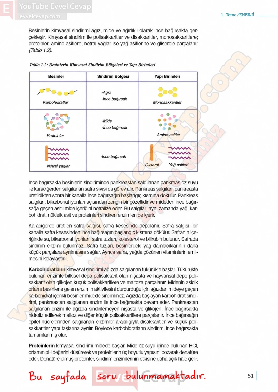 10-sinif-biyoloji-ders-kitabi-cevaplari-sayfa-51-cevaplari-meb-yayinlari-2026-2027
