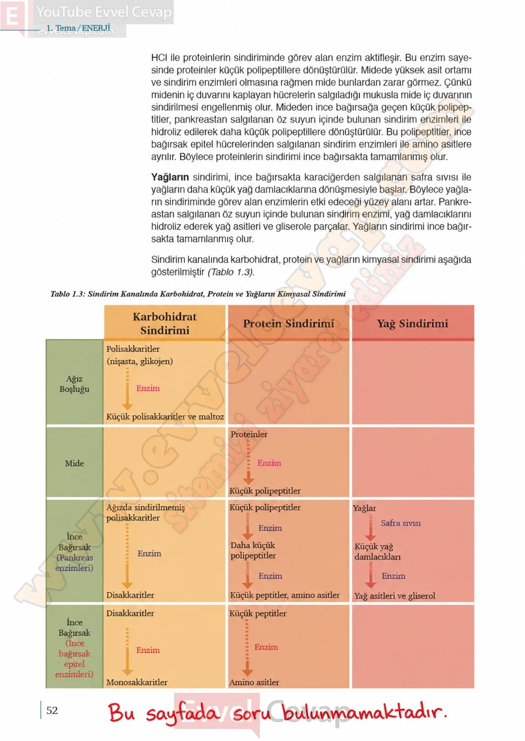 10-sinif-biyoloji-ders-kitabi-cevaplari-sayfa-52-cevaplari-meb-yayinlari-2026-2027