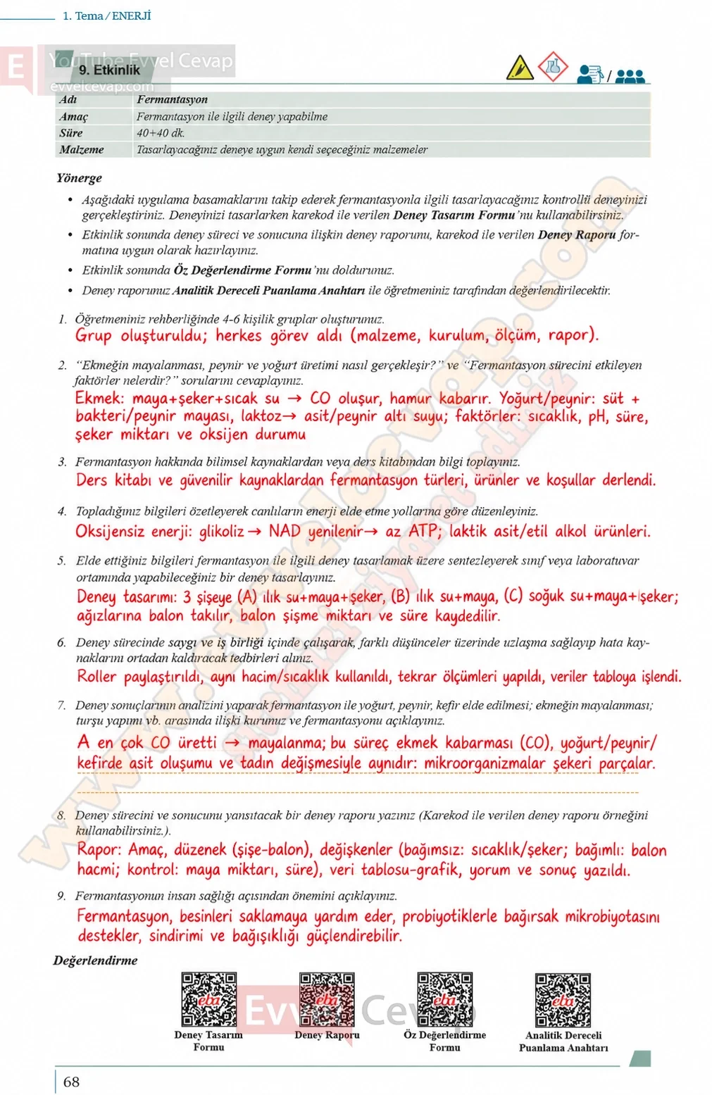 10-sinif-biyoloji-ders-kitabi-cevaplari-sayfa-68-cevaplari-meb-yayinlari-2026-2027