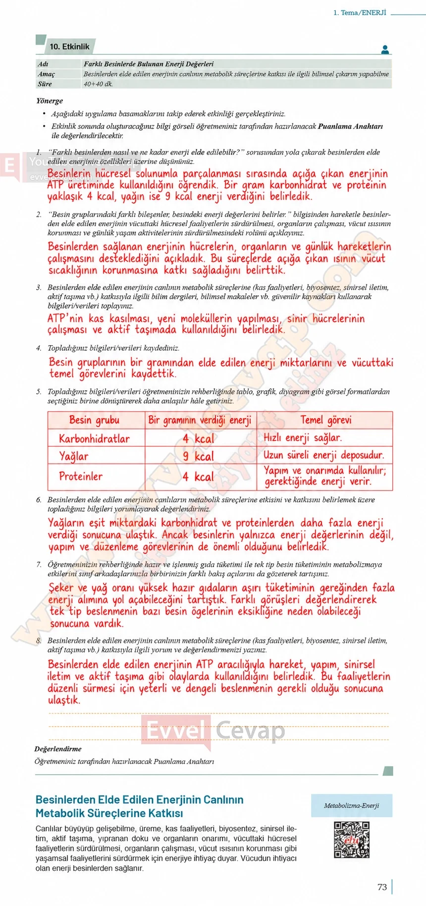 10-sinif-biyoloji-ders-kitabi-cevaplari-sayfa-73-cevaplari-meb-yayinlari-2026-2027