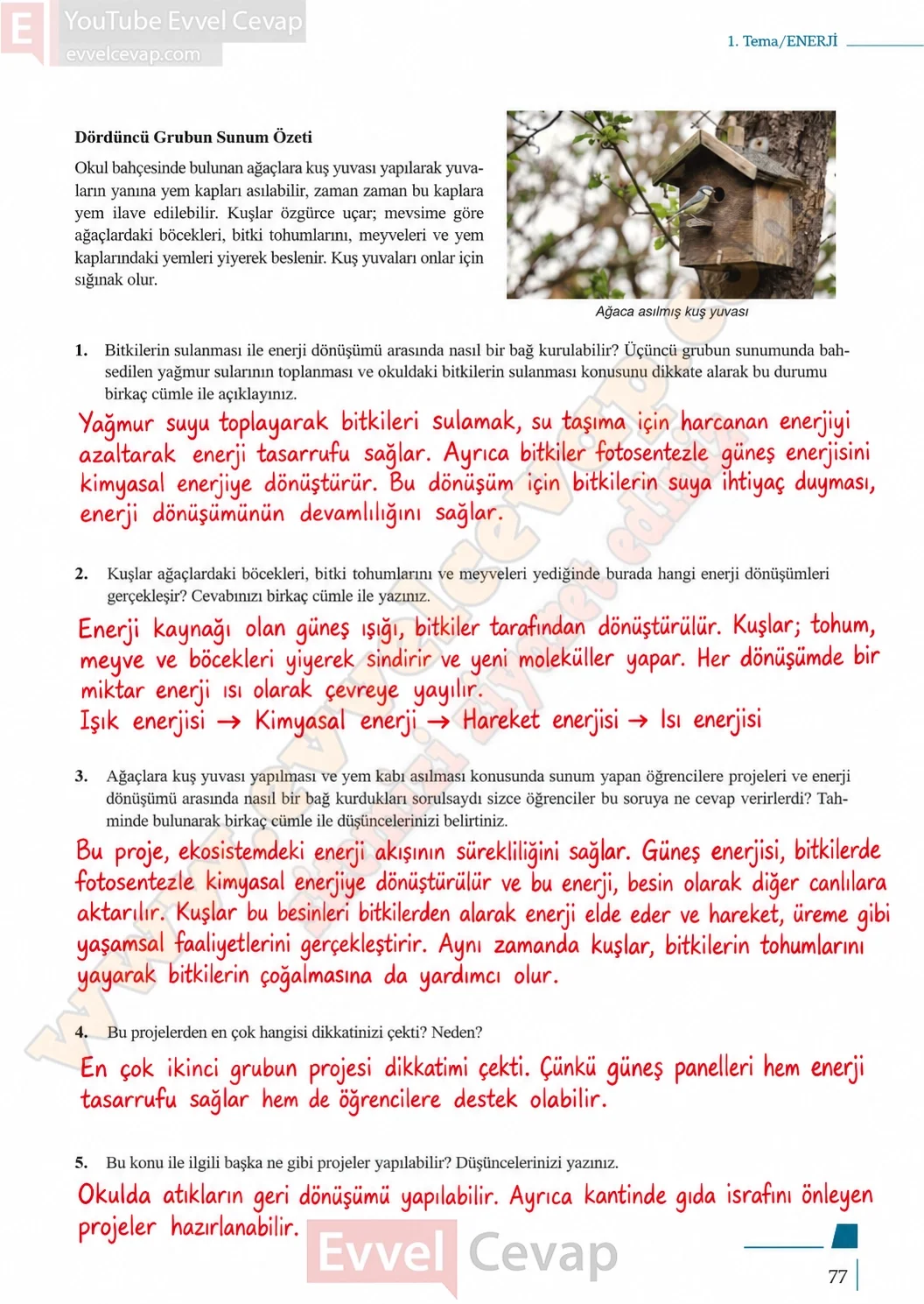 10-sinif-biyoloji-ders-kitabi-cevaplari-sayfa-77-cevaplari-meb-yayinlari-2026-2027