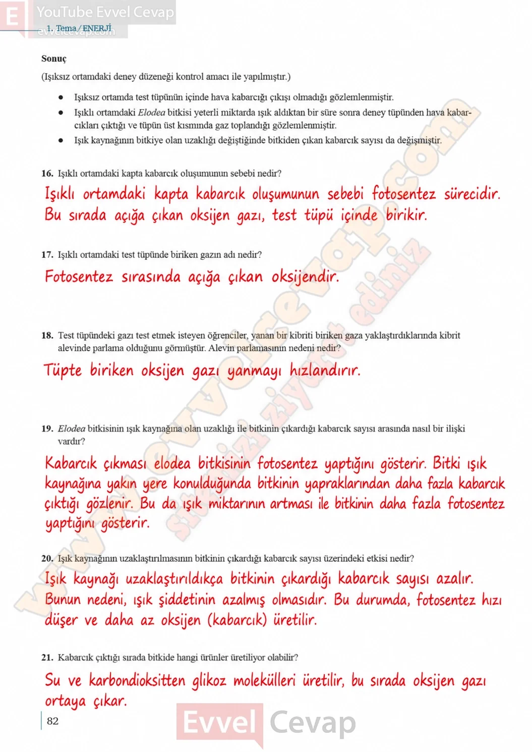 10-sinif-biyoloji-ders-kitabi-cevaplari-sayfa-82-cevaplari-meb-yayinlari-2026-2027