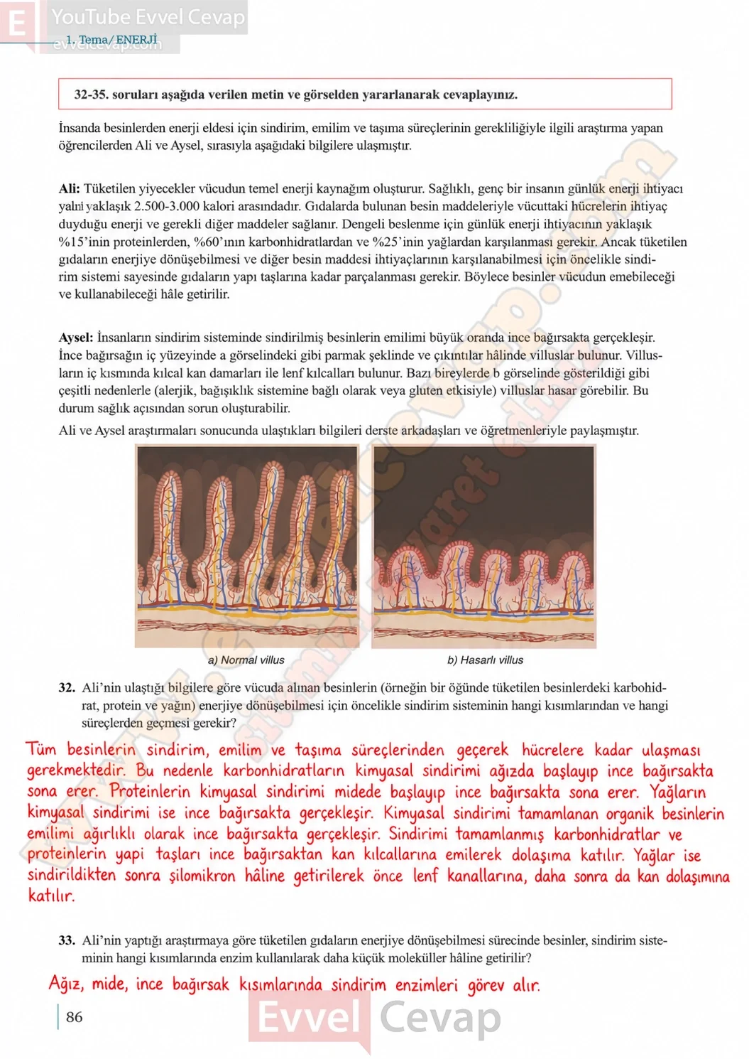 10-sinif-biyoloji-ders-kitabi-cevaplari-sayfa-86-cevaplari-meb-yayinlari-2026-2027