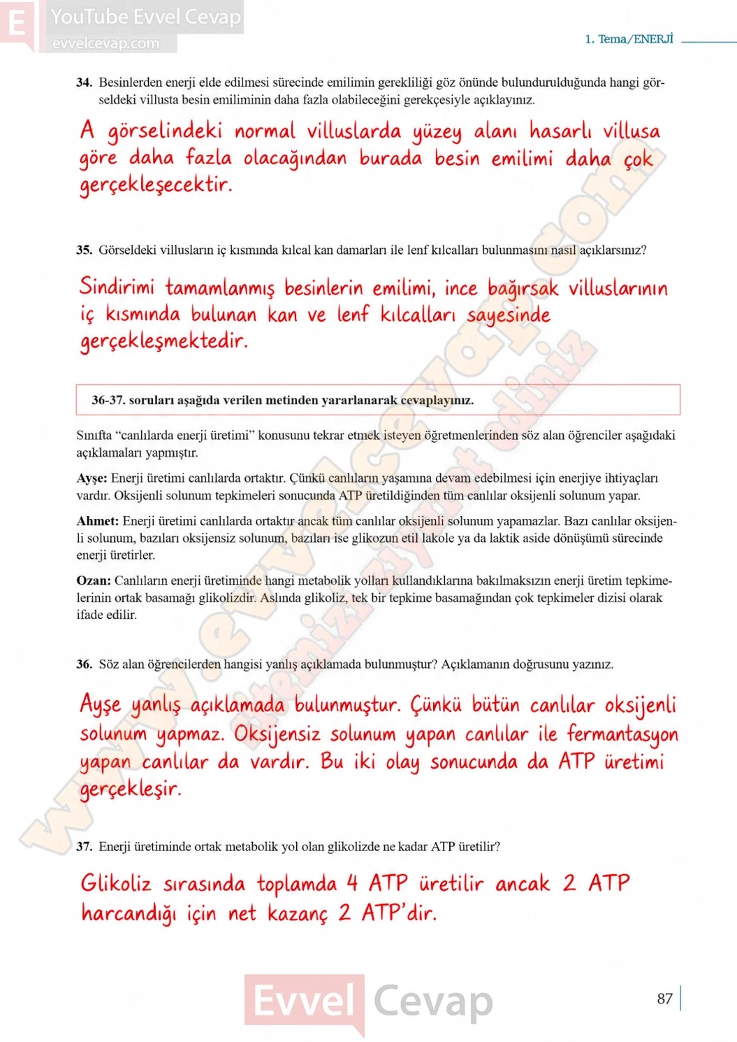 10-sinif-biyoloji-ders-kitabi-cevaplari-sayfa-87-cevaplari-meb-yayinlari-2026-2027