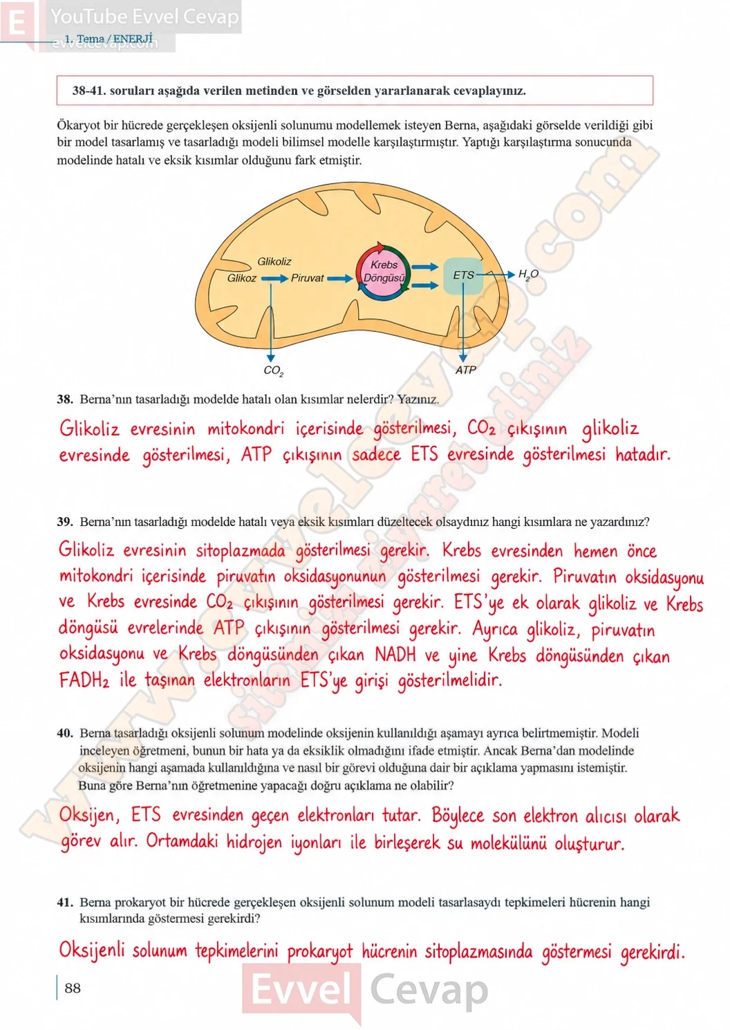10-sinif-biyoloji-ders-kitabi-cevaplari-sayfa-88-cevaplari-meb-yayinlari-2026-2027