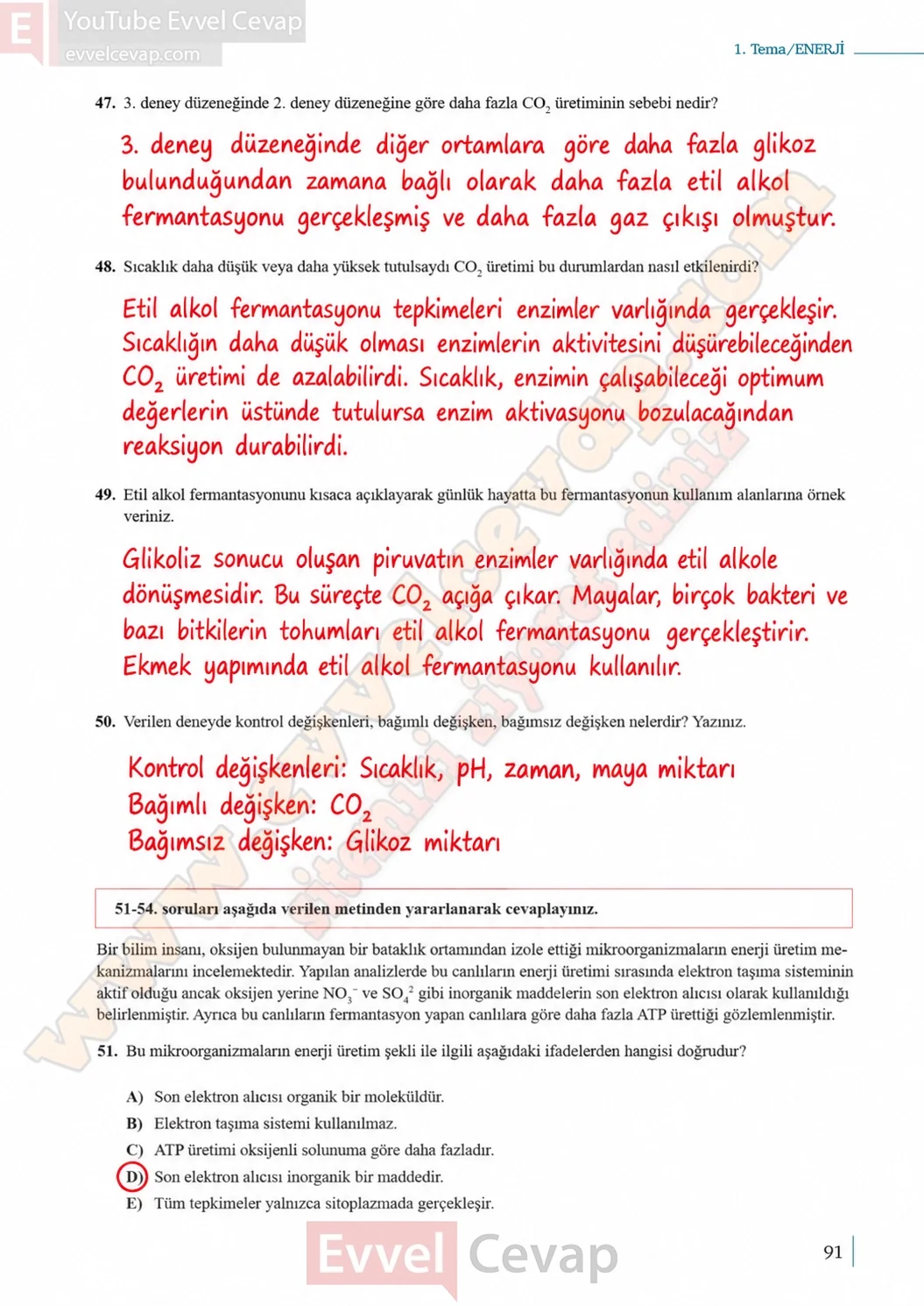 10-sinif-biyoloji-ders-kitabi-cevaplari-sayfa-91-cevaplari-meb-yayinlari-2026-2027