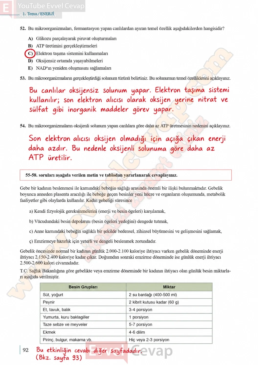 10-sinif-biyoloji-ders-kitabi-cevaplari-sayfa-92-cevaplari-meb-yayinlari-2026-2027