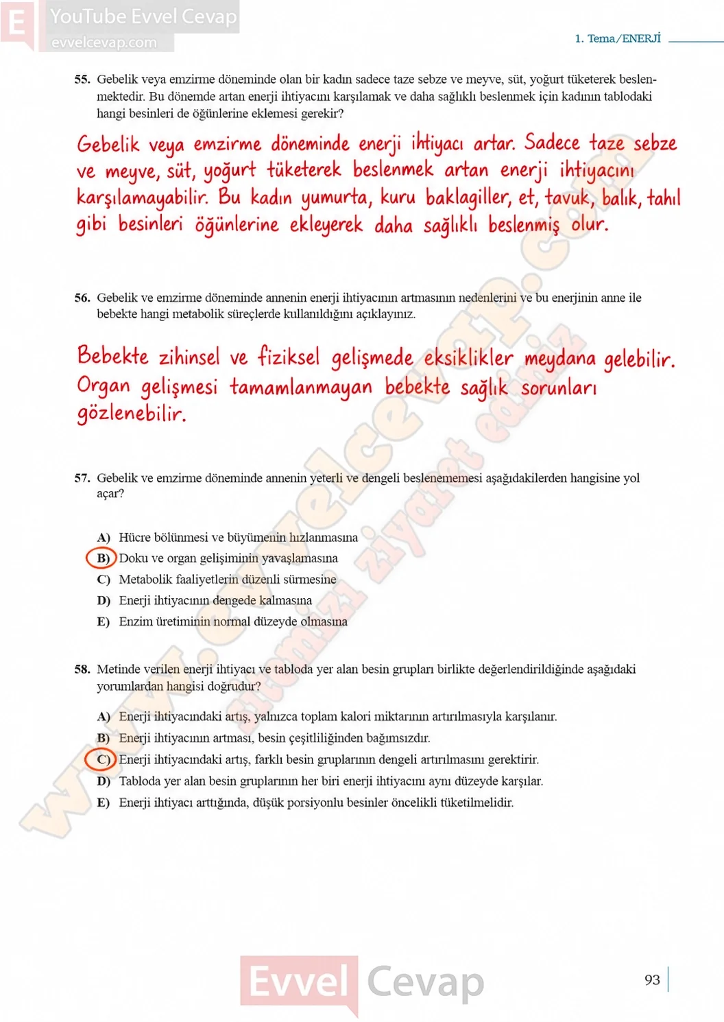 10-sinif-biyoloji-ders-kitabi-cevaplari-sayfa-93-cevaplari-meb-yayinlari-2026-2027