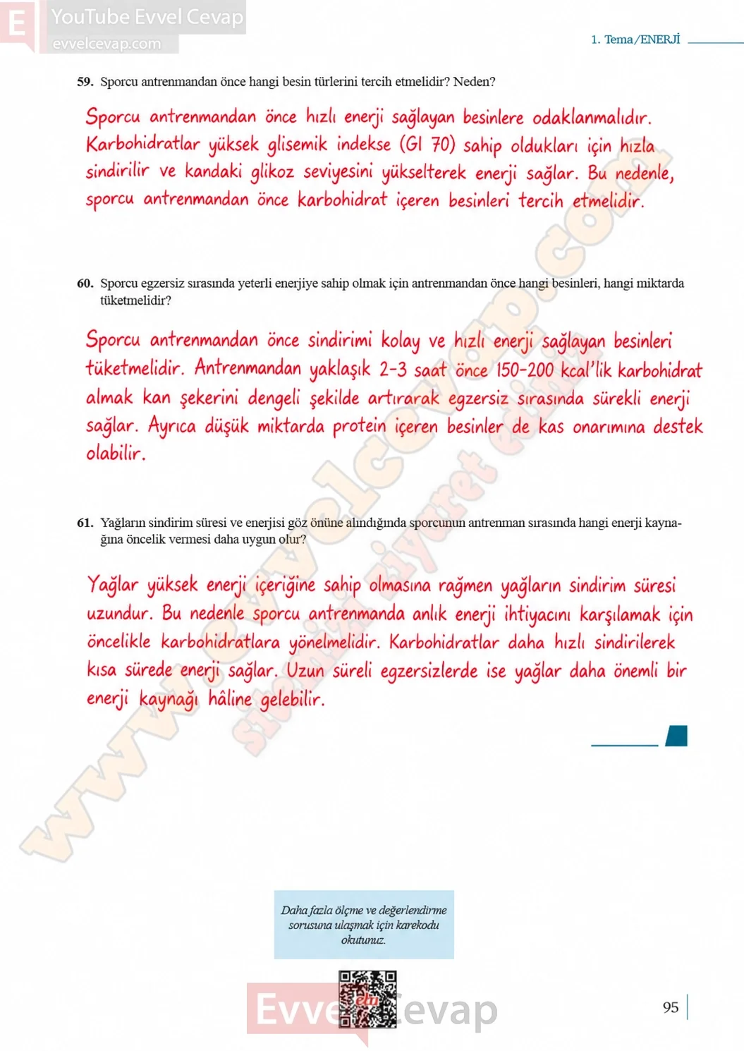 10-sinif-biyoloji-ders-kitabi-cevaplari-sayfa-95-cevaplari-meb-yayinlari-2026-2027