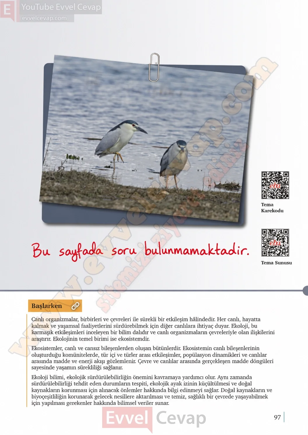 10-sinif-biyoloji-ders-kitabi-cevaplari-sayfa-97-cevaplari-meb-yayinlari-2026-2027