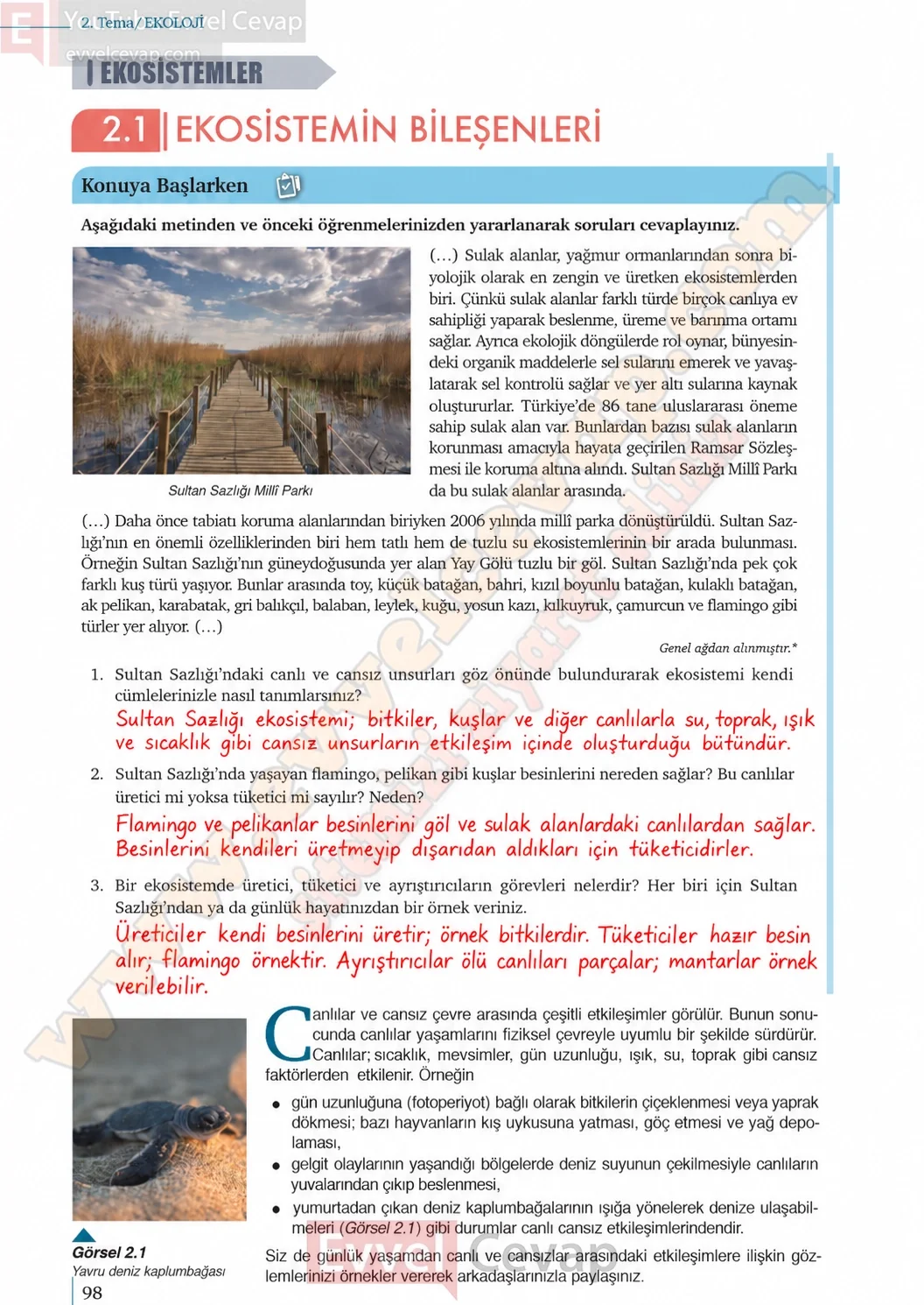 10-sinif-biyoloji-ders-kitabi-cevaplari-sayfa-98-cevaplari-meb-yayinlari-2026-2027