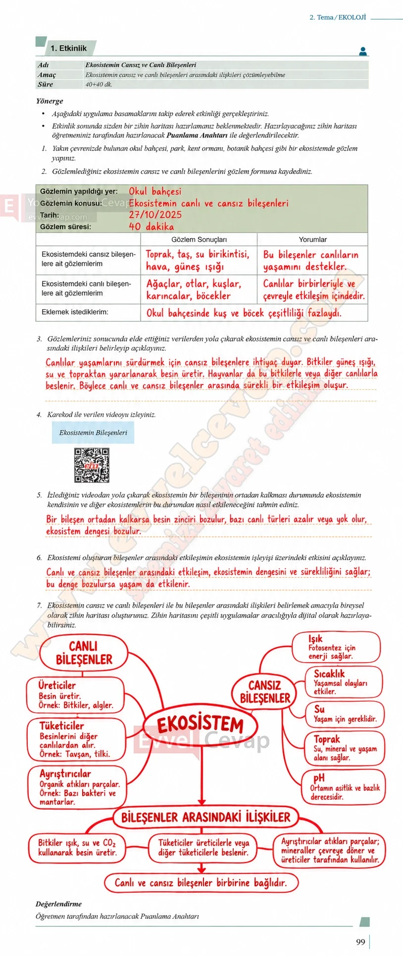 10-sinif-biyoloji-ders-kitabi-cevaplari-sayfa-99-cevaplari-meb-yayinlari-2026-2027