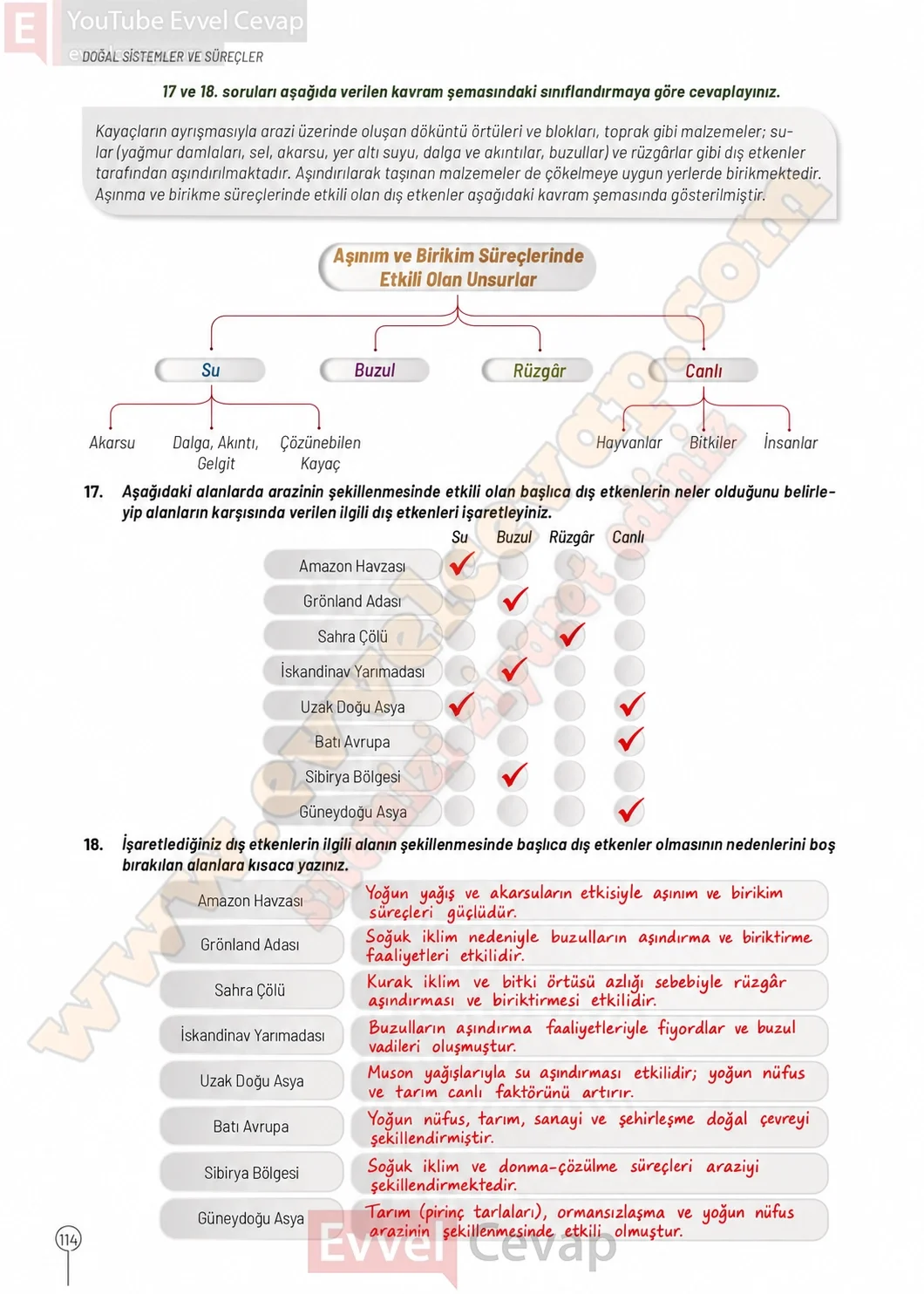 10-sinif-cografya-ders-kitabi-cevaplari-sayfa-114-cevaplari-meb-yayinlari-2026-2027