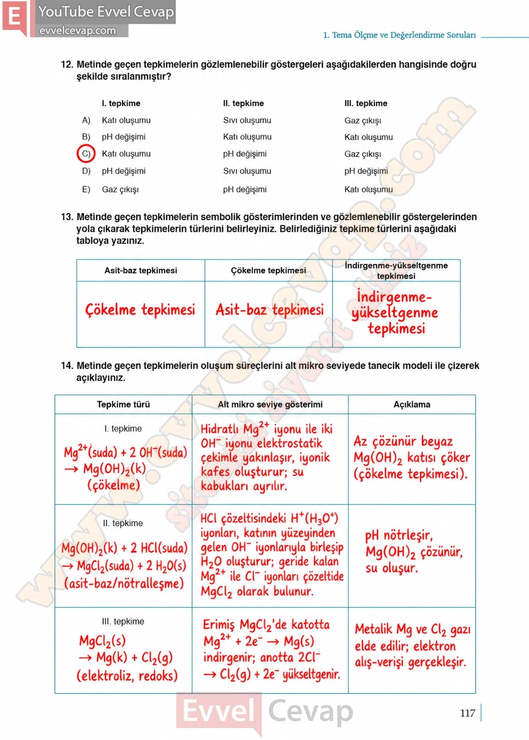 10-sinif-kimya-ders-kitabi-sayfa-117-cevaplari-meb-yayinlari-2026-2027
