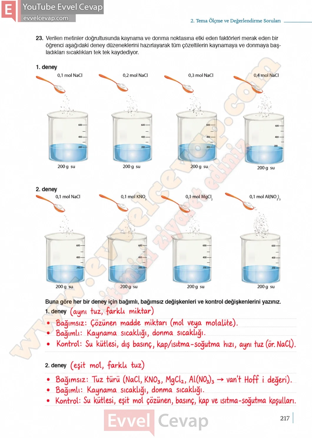 10-sinif-kimya-ders-kitabi-sayfa-217-cevaplari-meb-yayinlari-2026-2027