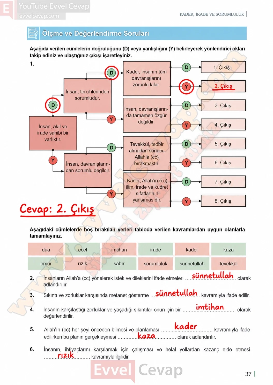 11-sinif-din-kulturu-ders-kitabi-sayfa-37-cevaplari-meb-yayinlari-2026-2027